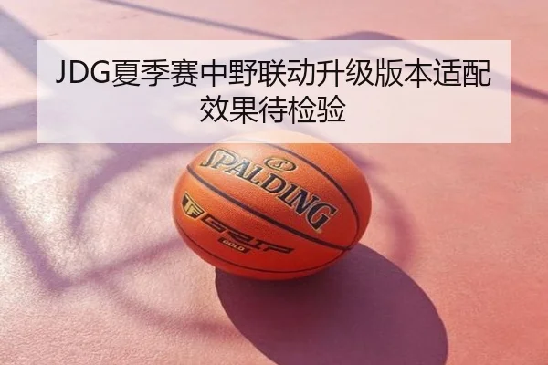 JDG夏季赛中野联动升级版本适配效果待检验